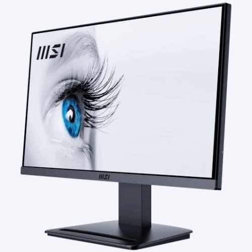 Ecran PC MSI Pro MP223 Full HD 100 HZ 21,5″